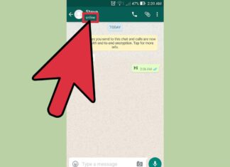 How to know if they control you on WhatsApp